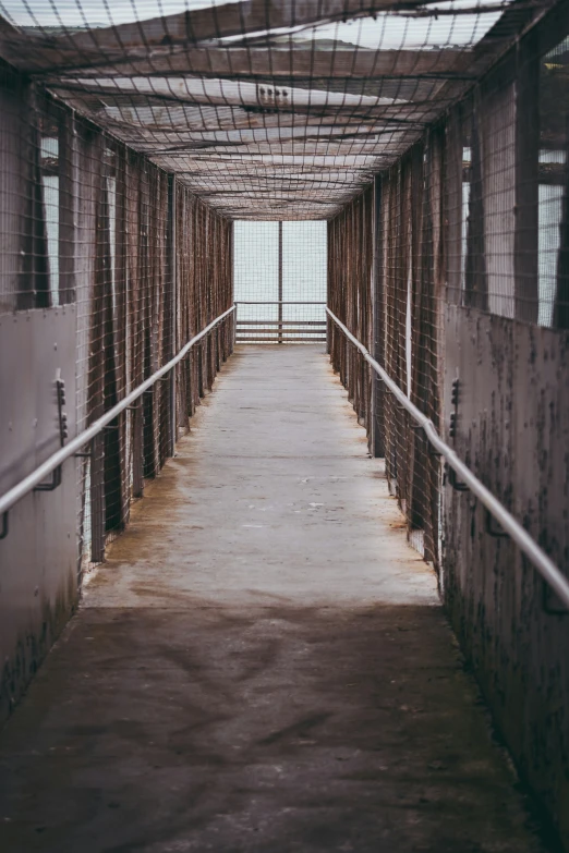 the entrance to a tunnel made out of wires and wire