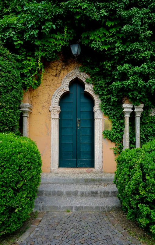 the entry to an old european mansion is covered in lush green plants