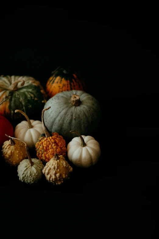 pumpkins and gourds on a black background