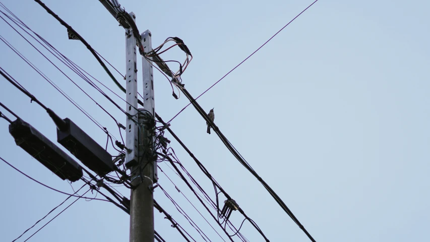 power lines and electric poles against a blue sky