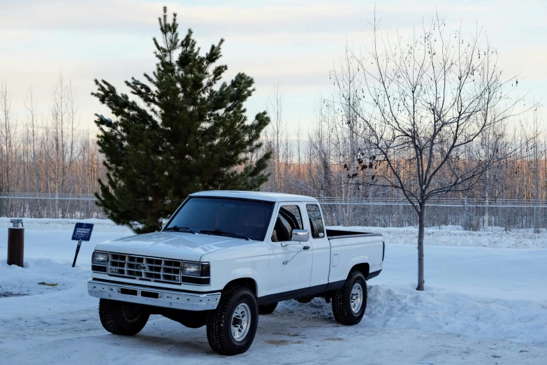a pickup truck is parked next to a tree on a snowy day
