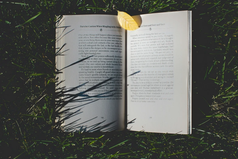 a book open with an image of grass and lemon peel