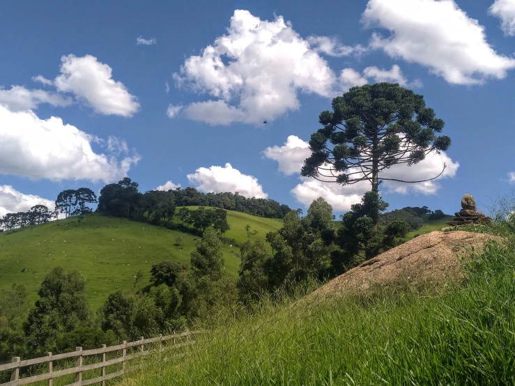 a large field with a lone tree on a hillside