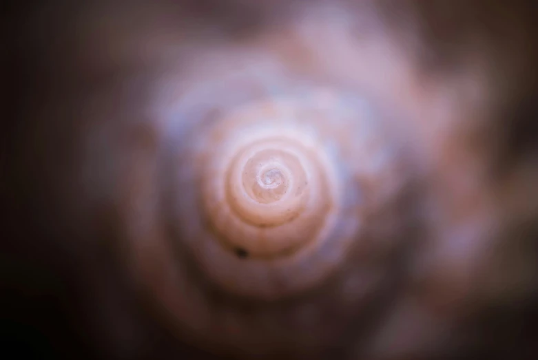 the view inside of a strange, black, swirled object