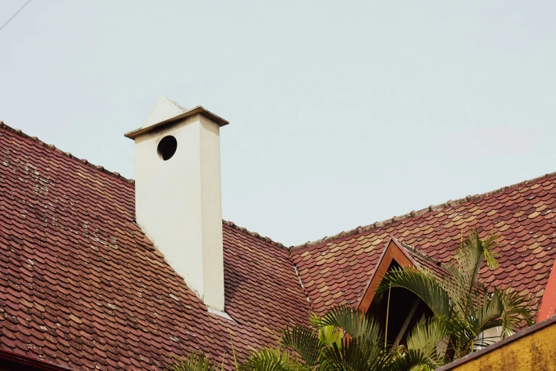 an outdoor view of rooftops with palm trees and chimneys