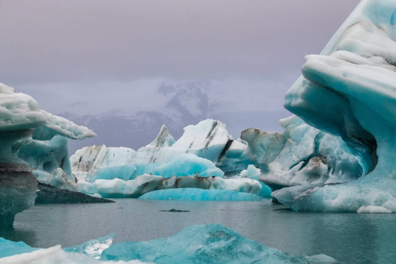 a group of icebergs float together in a body of water