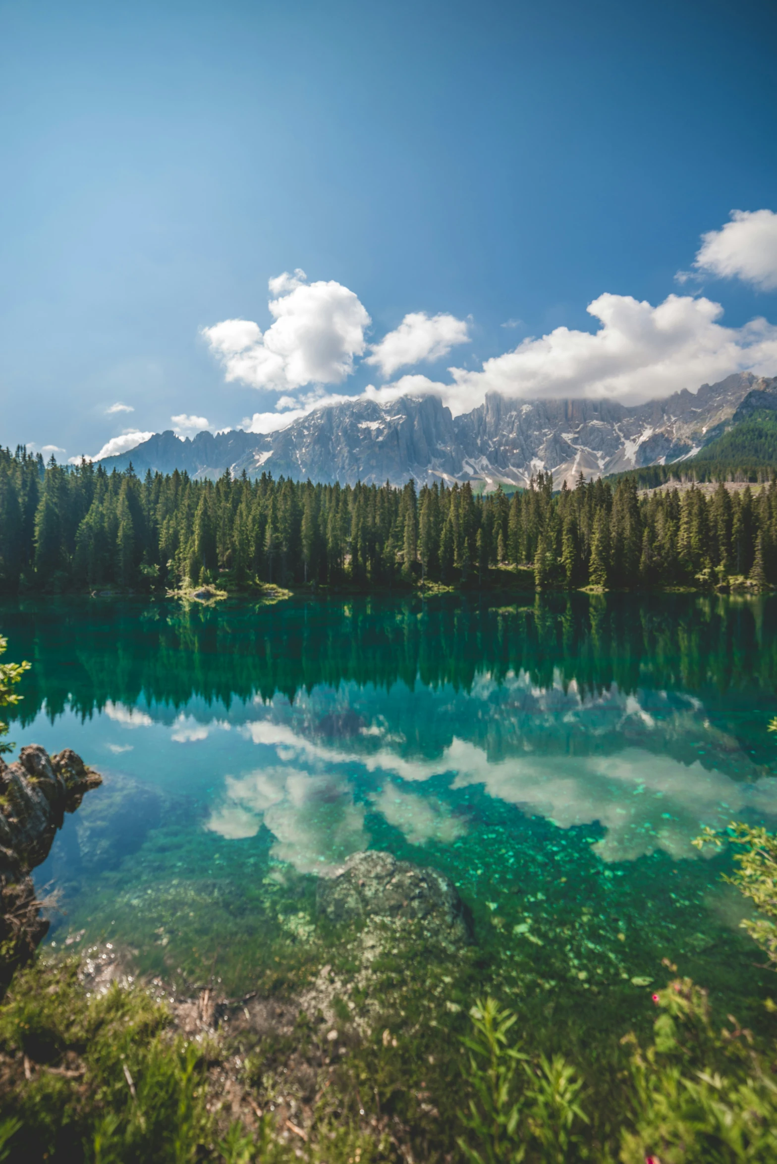 a lake surrounded by pine trees with a sky background