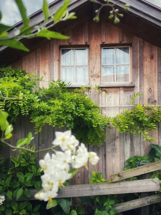 a wooden building surrounded by vines and flowers