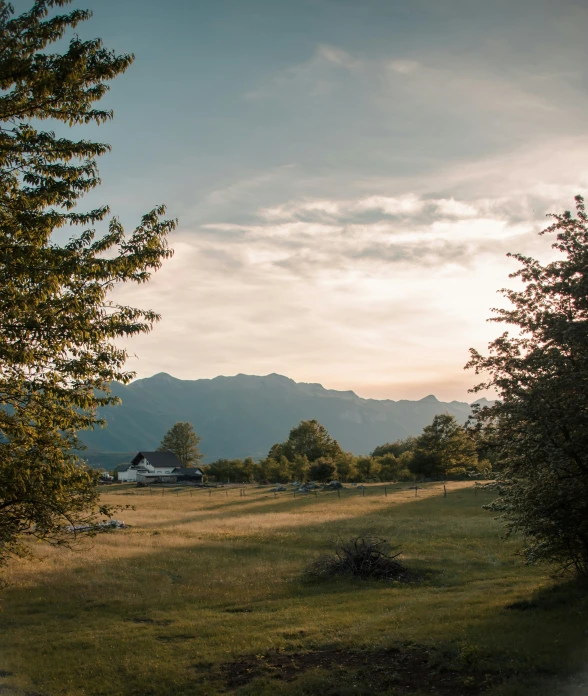 a field with mountains in the background and some trees