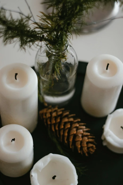 the lit candles on the table have pine cones