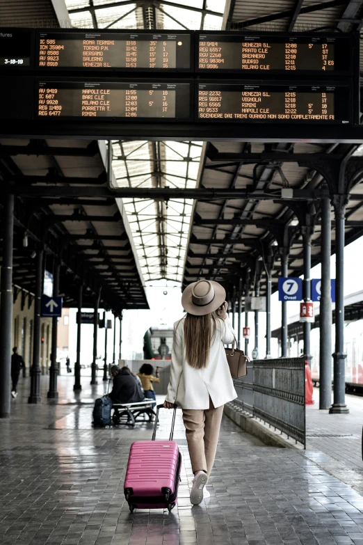 woman with suitcase approaching terminal on train