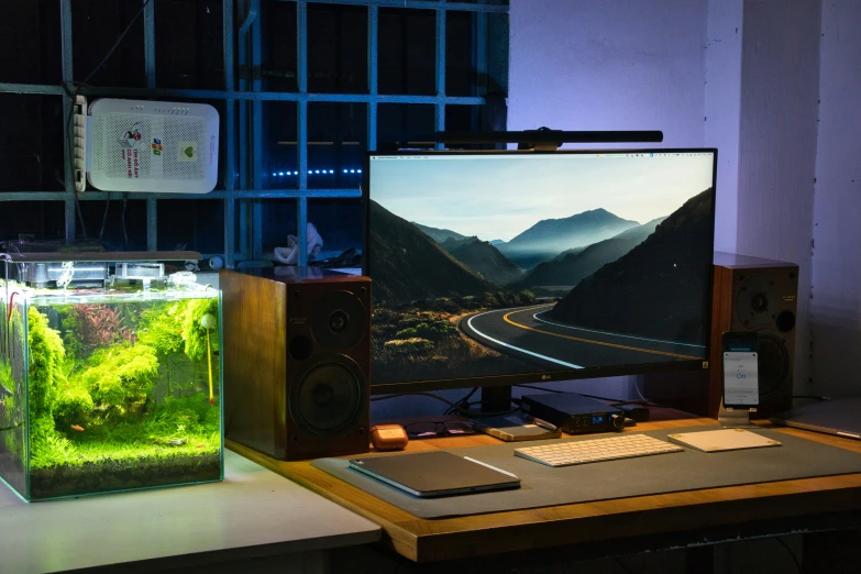 a computer monitor with the background of mountains and water and grass, with a plant on the table