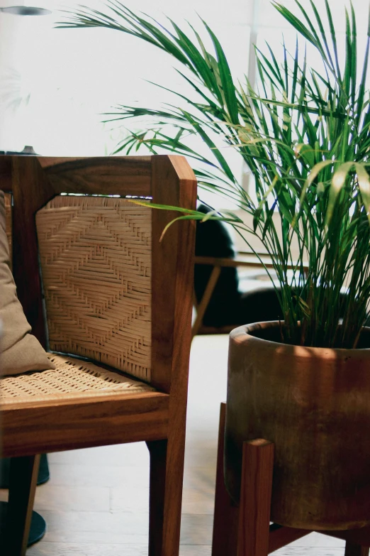 a potted plant is sitting in front of a wood chair