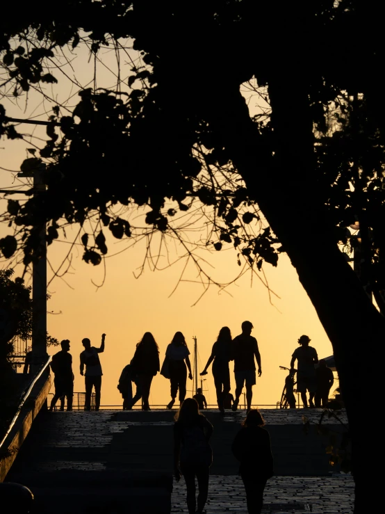 group of people walking on a path near some trees