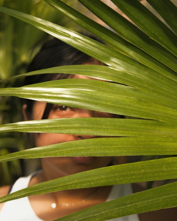 a girl looks through the green palm leaves