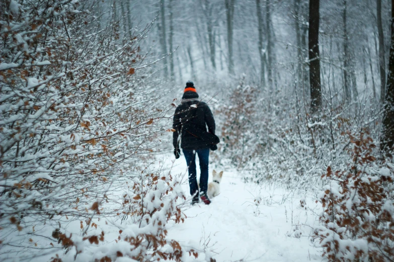 a man walking a dog down a snowy road