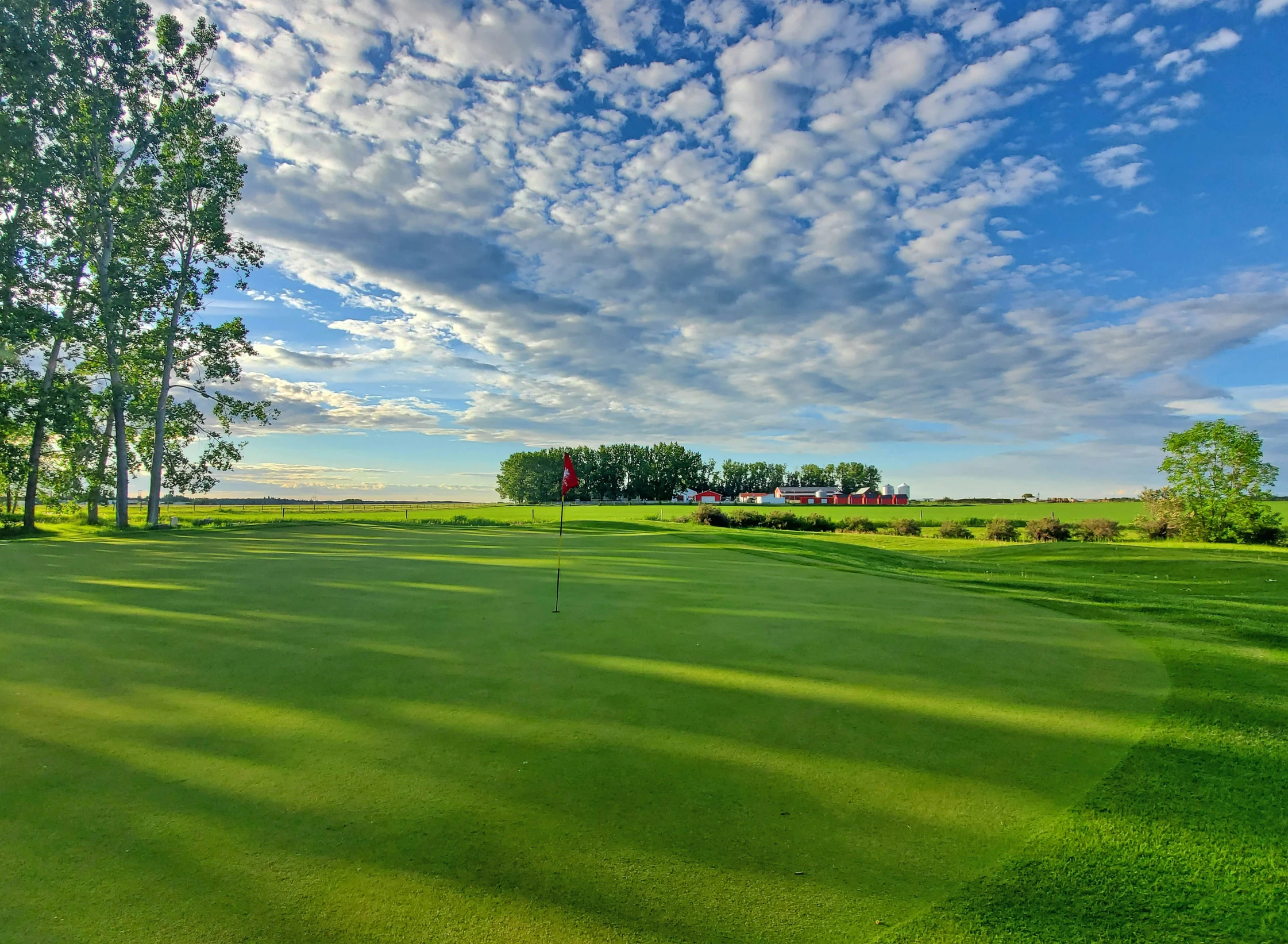 a green golf course with trees in the foreground