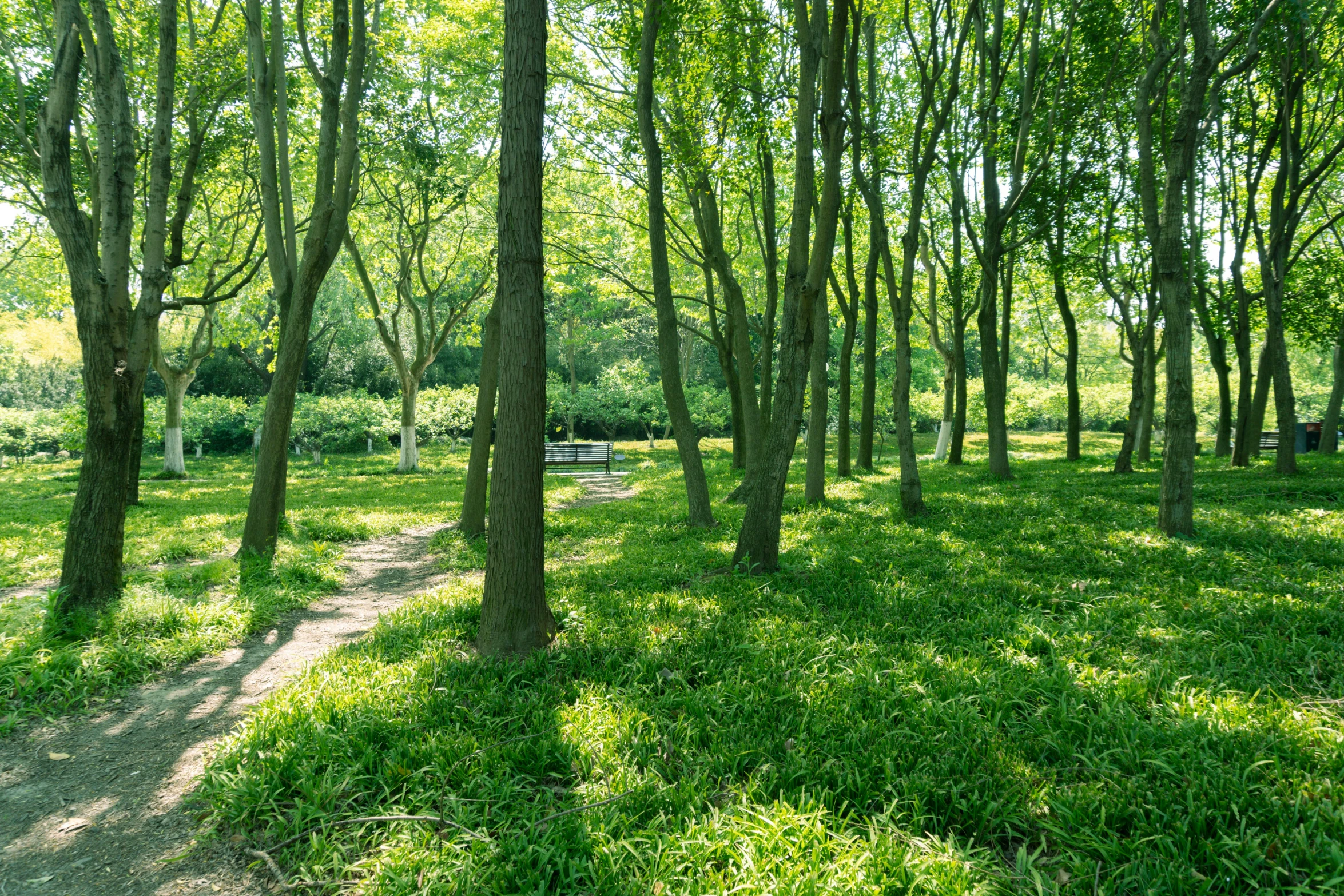 this is a picture of a park area