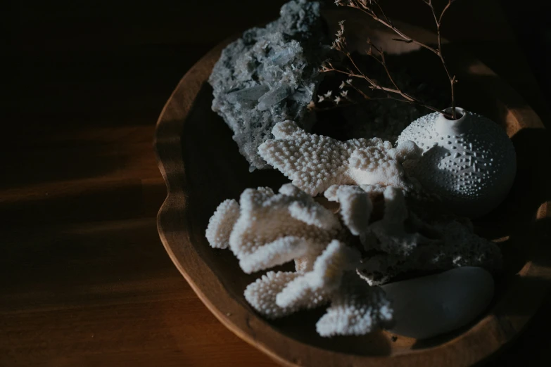 a bowl with coral and shells on a table