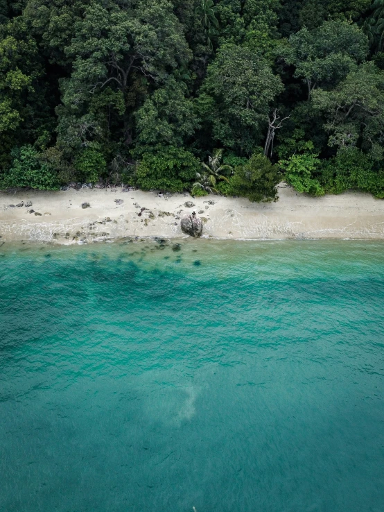 an empty beach with clear water near a wooded area