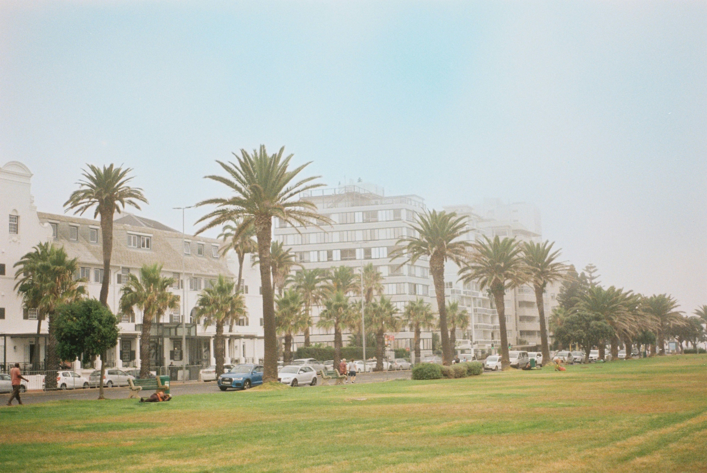 an open area of grass, palm trees and a building