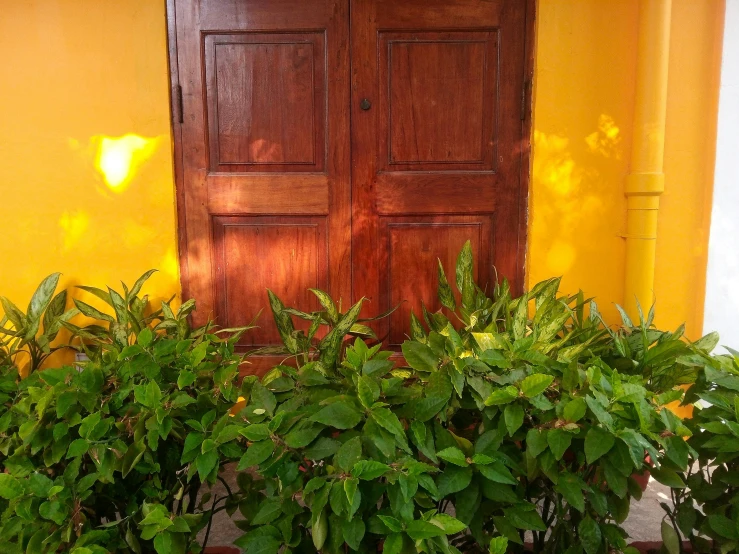 the entrance to an orange walled area with plants on the sidewalk