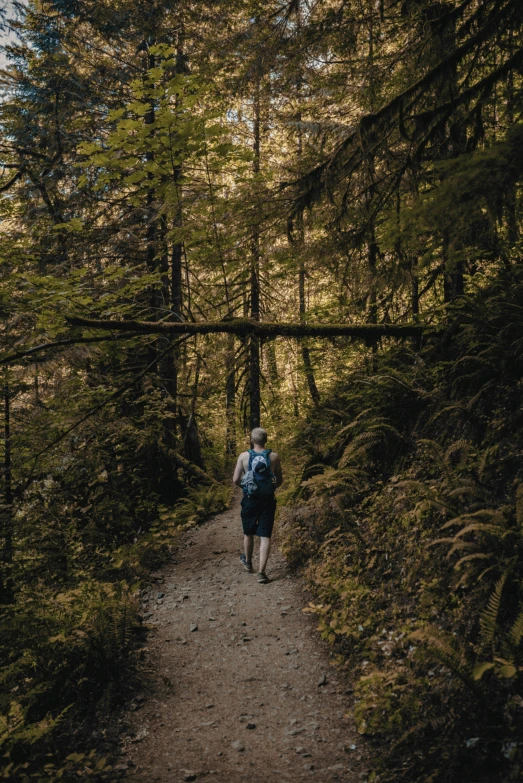 a person walking through a wooded area with backpack