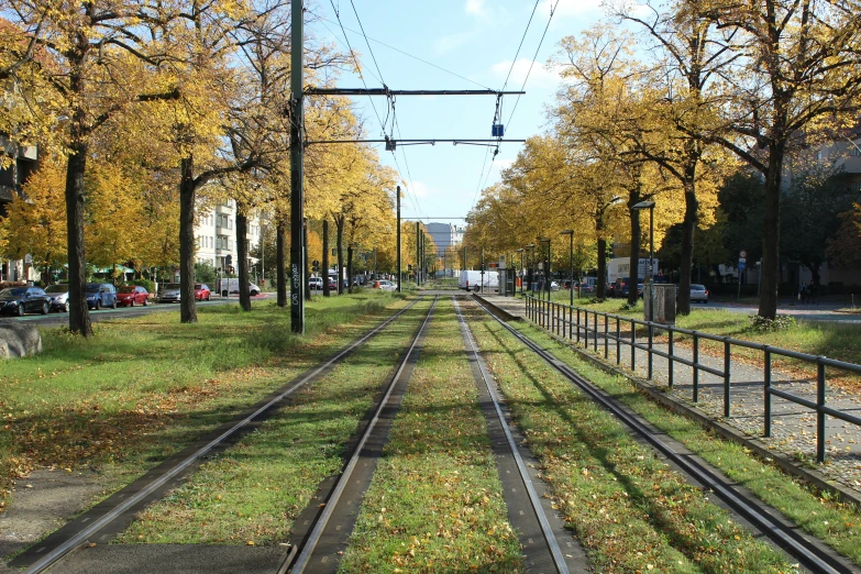 a set of tracks running through a city park with trees lining each track