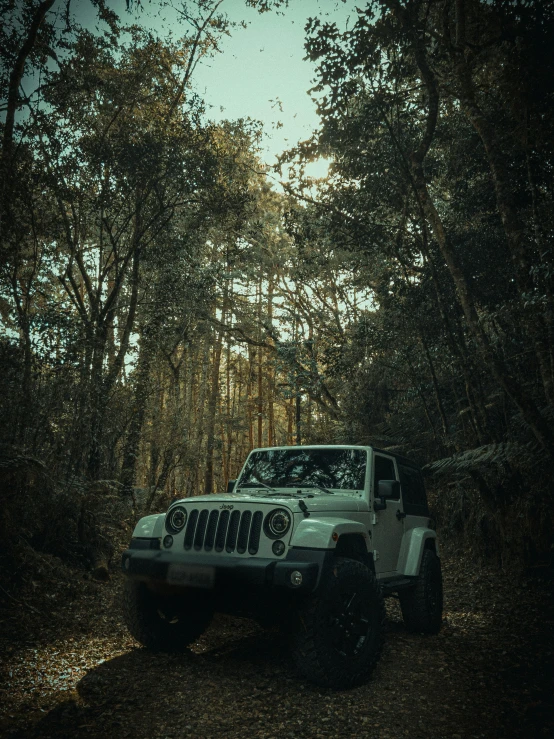 white jeep parked in the middle of the forest