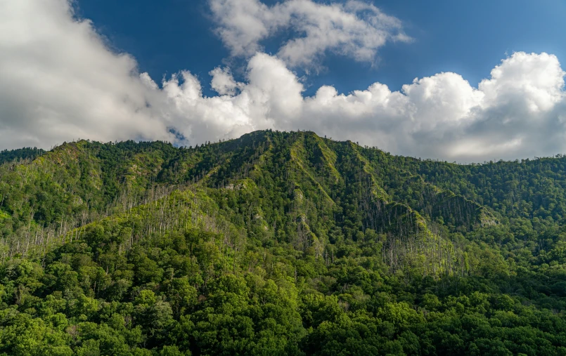 the top of the mountain surrounded by trees