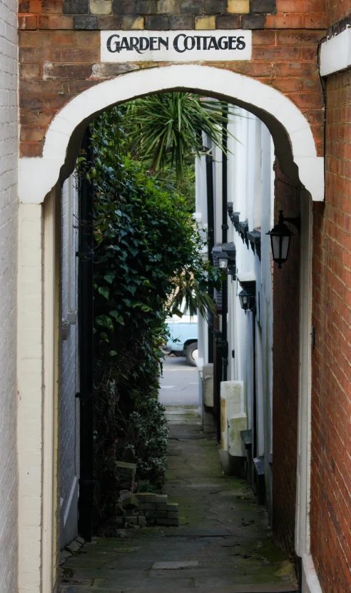 an arched doorway leading to a row of trees
