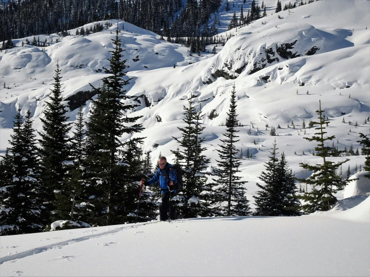 skier on ski slope with snowy evergreen trees in the foreground