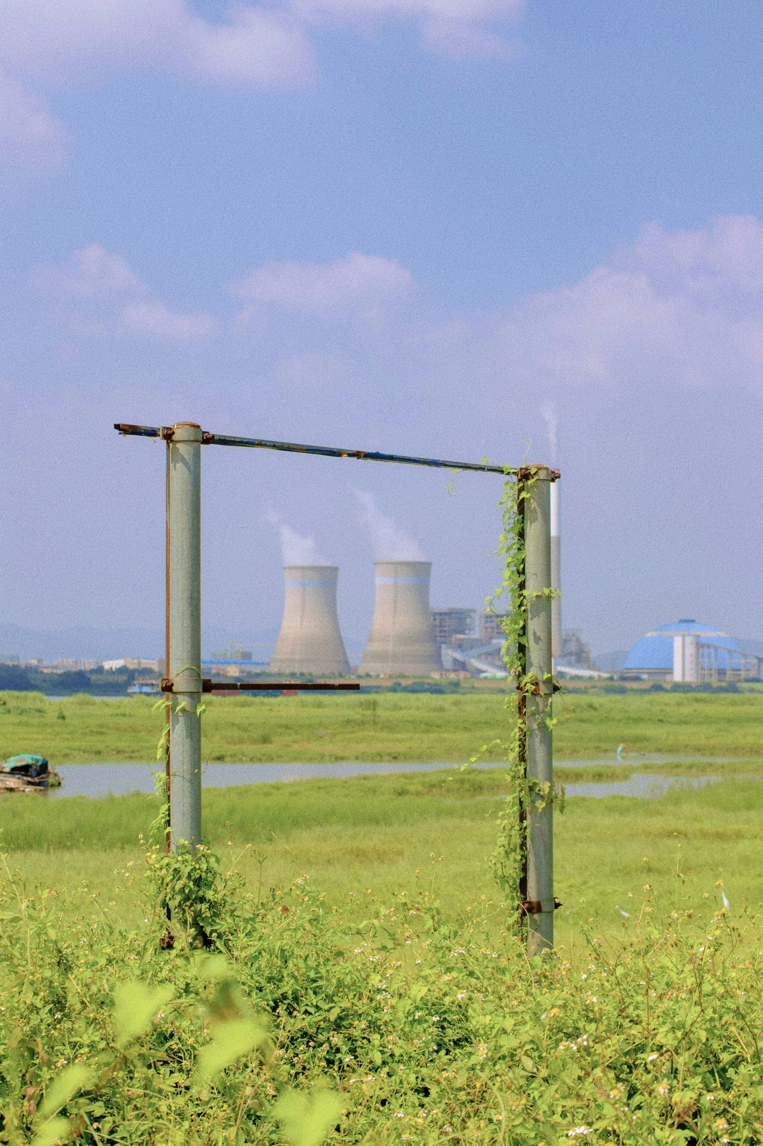 a plant is growing on an industrial facility