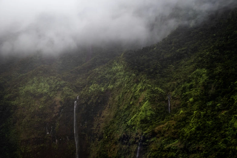 the lush green mountain side is covered in mist