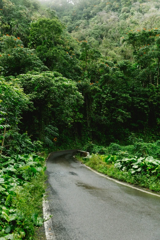 an empty road surrounded by lush green hills