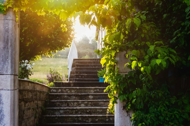 sunlight coming through trees and a stone steps leading to the grass