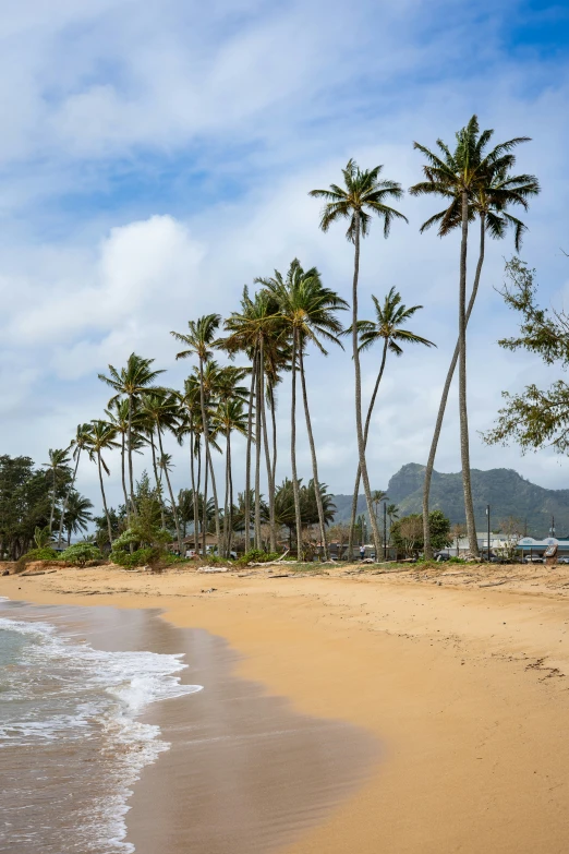 the view of the beach and palm trees on a clear day