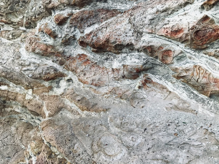 a piece of gray rock with red and white patches