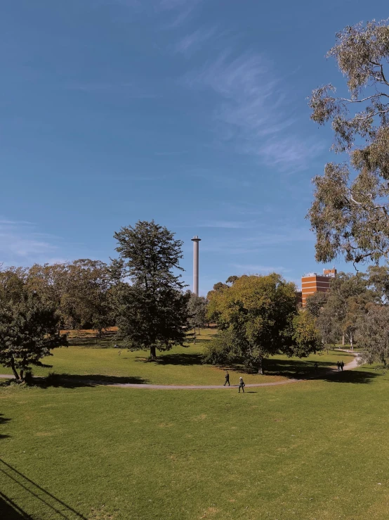 a man standing in a park with a kite