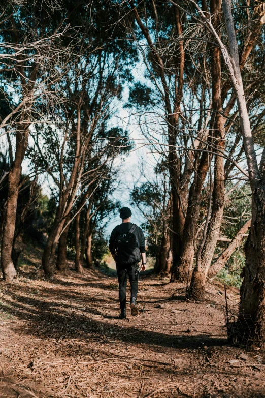 a man walking down a trail in the woods