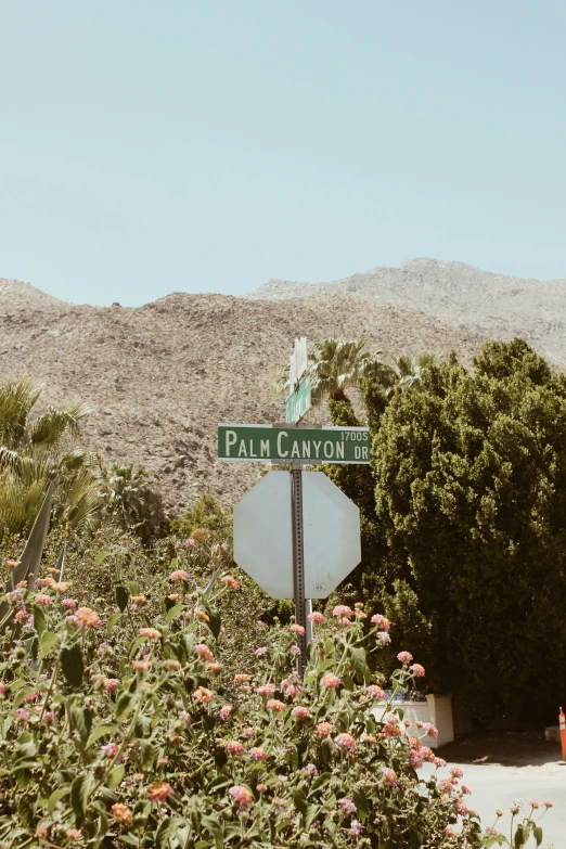 the road sign is in front of some bushes and flowers