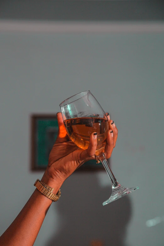 person holding wine glass up in the air