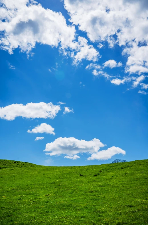 a grassy field with a blue sky filled with clouds