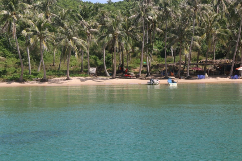 people riding boats on the beach surrounded by palm trees