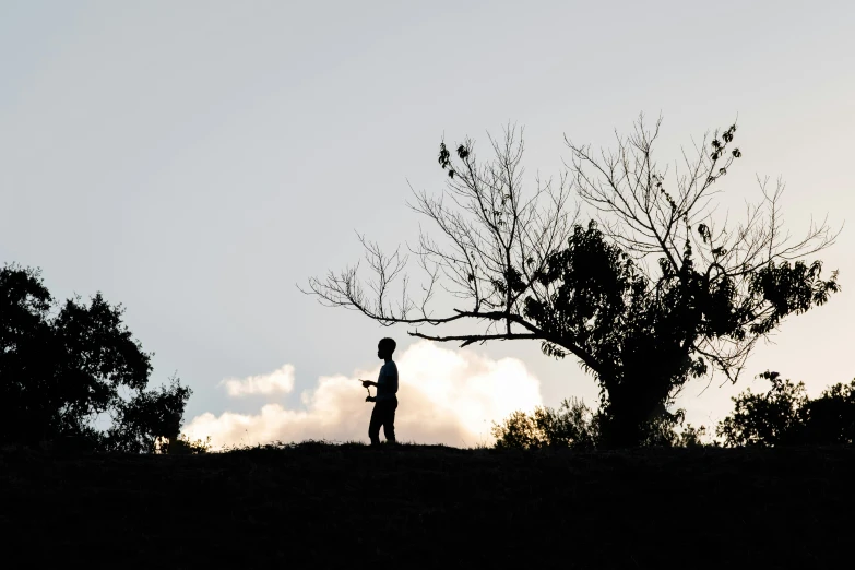 a man in silhouette near an ash tree