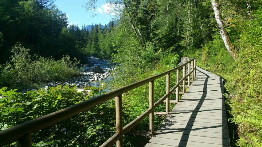 the boardwalk is along a small stream and has a railing