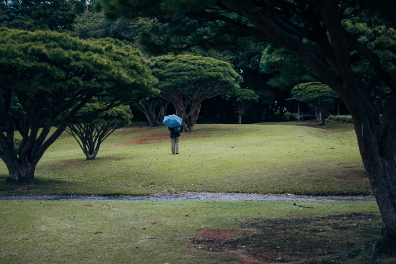 a person walks through the grass next to some trees