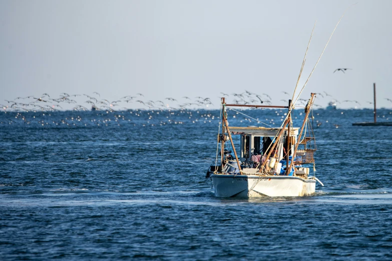 people on the side of a small white boat