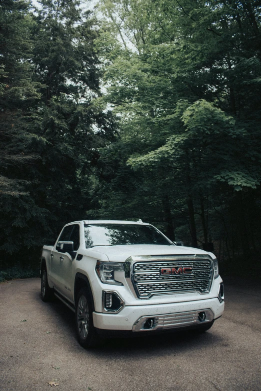a silver truck parked in a driveway between trees