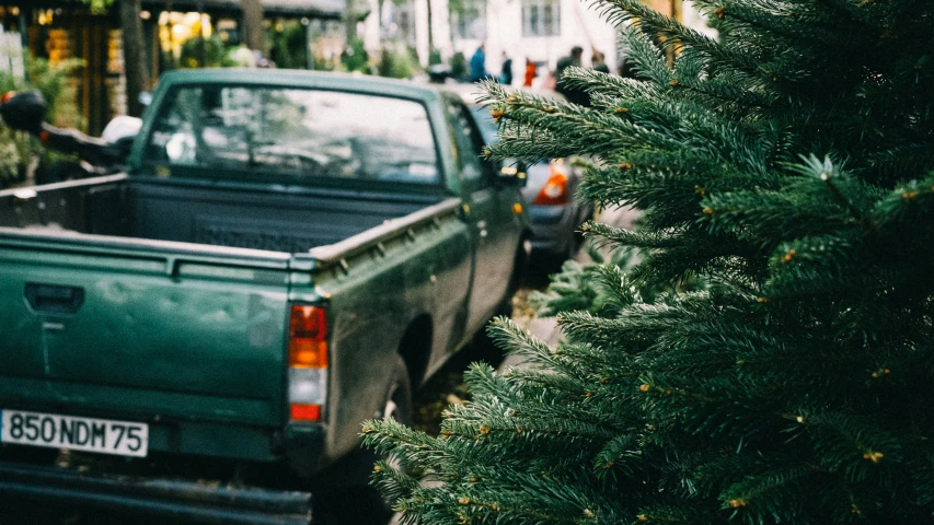 a truck parked next to a small tree